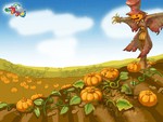 Pumpkin Fields