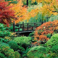 Japanese Garden