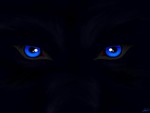 Wolf's Eyes