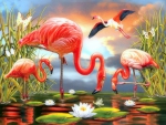 âœ¬Red Flamingosâœ¬