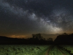 starry night over green fields