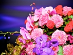 Lovely Flowers