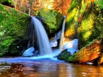 FOREST WATERFALLS
