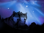 Northern Sky Wolves