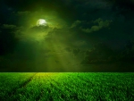 Green Sky