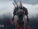 The Witcher 3 : Wild Hunt
