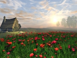 Cottage and Poppy Field