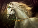 Beautiful White Horse