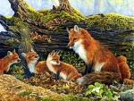 Foxes