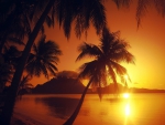 Polynesian Sunset~Bora Bora