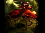 Lady Bug