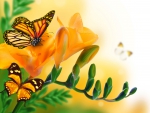 Floral Butterflies