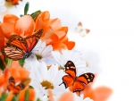 Floral Butterflies