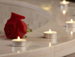Rose and Candle