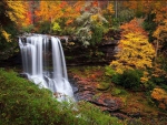 Autumn At Dry Falls