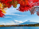 Mount Fuji In Autumn