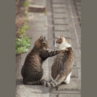 It's gonna be all right, man