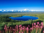 Mount McKinley Alaska