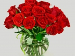 Red Roses