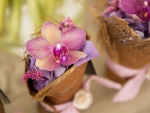 Baskets of orchids