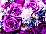 Purple Bouquet