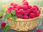 Raspberries