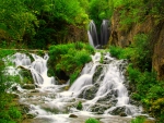 Forest waterfall
