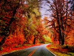 AUTUMN ROAD
