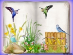 BUDGIE BOOK