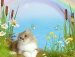 Cat Rainbow Wishes