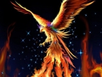 phoenix