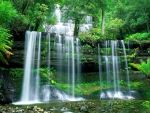 Beautiful forest cascades