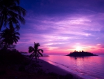 Purple Sunset