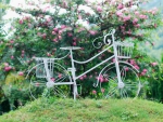 Bicycle and Flowers