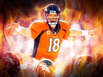 Peyton Manning: Denver Broncos quarterback