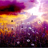 IT's A BEAUTIFUL DAY