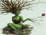 Tree Nymph