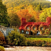 Beautiful Cottage