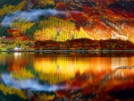 Autumn reflections