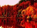 AUTUMN LAKE