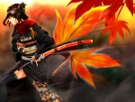 Beautiful Samurai
