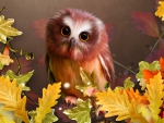 Cute Autumn Owl