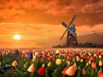 Holland
