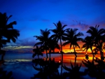 Splendid tropical sunset