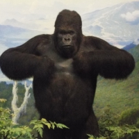 Gorilla Diorama