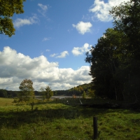 Mix of Nature's Flavors