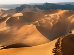 Great Desert