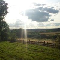 Art created by Nature