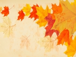 Autumn Leaves