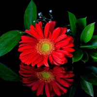 * Beautiful reflection *